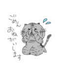 ねこ(日常)（個別スタンプ：13）