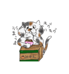 ねこ(日常)（個別スタンプ：14）