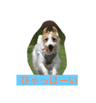 ポキナナロク（個別スタンプ：1）