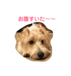 ポキナナロク（個別スタンプ：2）
