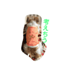 ポキナナロク（個別スタンプ：3）