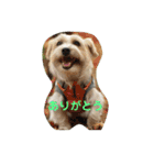 ポキナナロク（個別スタンプ：4）