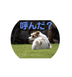 ポキナナロク（個別スタンプ：8）