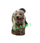 ポキナナロク（個別スタンプ：11）