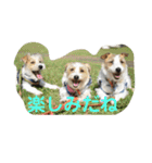 ポキナナロク（個別スタンプ：12）