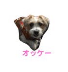 ポキナナロク（個別スタンプ：16）