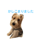 ポキナナロク（個別スタンプ：17）
