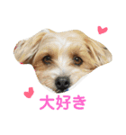 ポキナナロク（個別スタンプ：19）