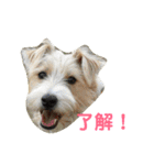 ポキナナロク（個別スタンプ：22）