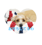 ポキナナロク（個別スタンプ：24）