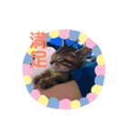 猫まみれ色々02（個別スタンプ：2）