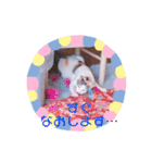 猫まみれ色々02（個別スタンプ：3）