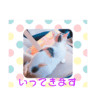 猫まみれ色々02（個別スタンプ：9）