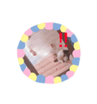 猫まみれ色々02（個別スタンプ：15）