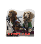 ダックスその他の愉快な仲間たちの日常（個別スタンプ：8）