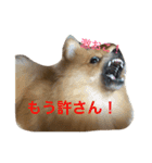 まろんの1日（個別スタンプ：8）