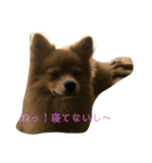 まろんの1日（個別スタンプ：13）