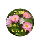 感謝してます（個別スタンプ：2）