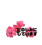 感謝してます（個別スタンプ：3）
