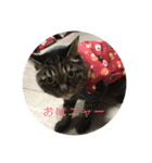 towako（個別スタンプ：1）