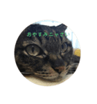 towako（個別スタンプ：2）