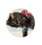 towako（個別スタンプ：3）