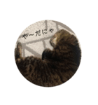 towako（個別スタンプ：8）