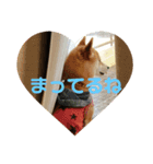 くぅたの1日（個別スタンプ：3）