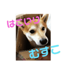 くぅたの1日（個別スタンプ：7）