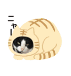 はるみのスタンプ壱（個別スタンプ：5）