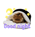 しなじんスタンプ2（個別スタンプ：3）