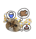 しなじんスタンプ2（個別スタンプ：13）