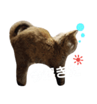 しなじんスタンプ2（個別スタンプ：20）