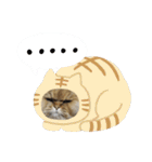 しなじんスタンプ2（個別スタンプ：30）
