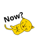 English cat stamps（個別スタンプ：5）