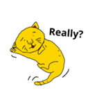 English cat stamps（個別スタンプ：7）