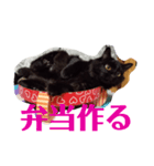 うちの猫と日常会話（個別スタンプ：2）