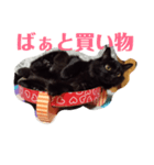 うちの猫と日常会話（個別スタンプ：3）