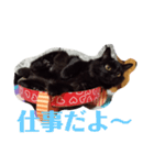 うちの猫と日常会話（個別スタンプ：6）