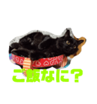 うちの猫と日常会話（個別スタンプ：8）