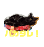 うちの猫と日常会話（個別スタンプ：9）