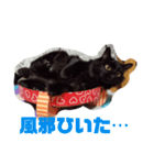 うちの猫と日常会話（個別スタンプ：10）