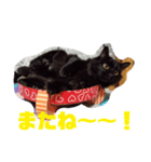 うちの猫と日常会話（個別スタンプ：12）