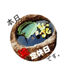 居酒屋 椛（個別スタンプ：5）