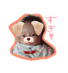 依希とふうと（個別スタンプ：1）