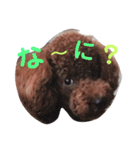 依希とふうと（個別スタンプ：7）