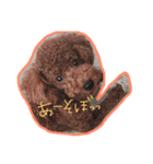 依希とふうと（個別スタンプ：8）