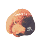 依希とふうと（個別スタンプ：9）