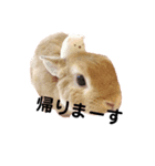 ぼくの名前はずんだ（個別スタンプ：2）