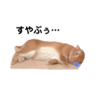 ぼくの名前はずんだ（個別スタンプ：3）